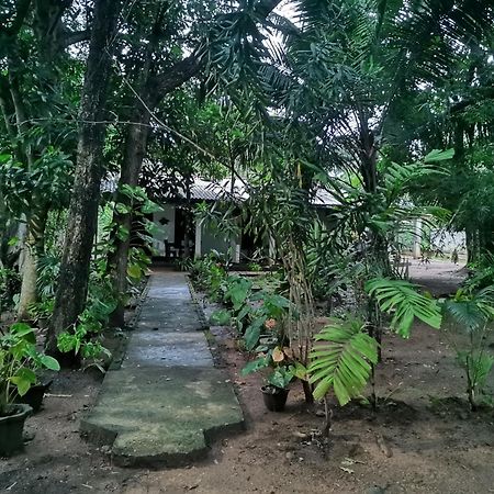 Sigiri Mango Garden Eco Resort Sigirîya Extérieur photo